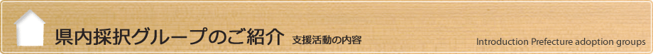 県内採択グループのご紹介 - 支援活動の内容
